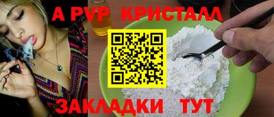 стаф Волгодонск